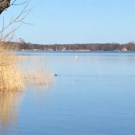 Urlaub Bei Charly - App. Paradies * Lübeck